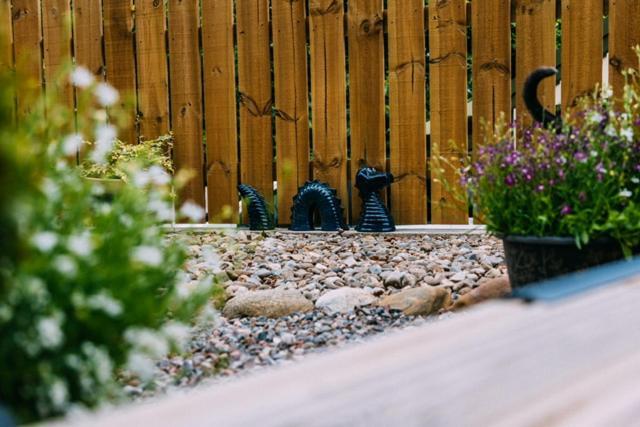 Hotel Loch Ness Woodland Pods Drumnadrochit Zewnętrze zdjęcie